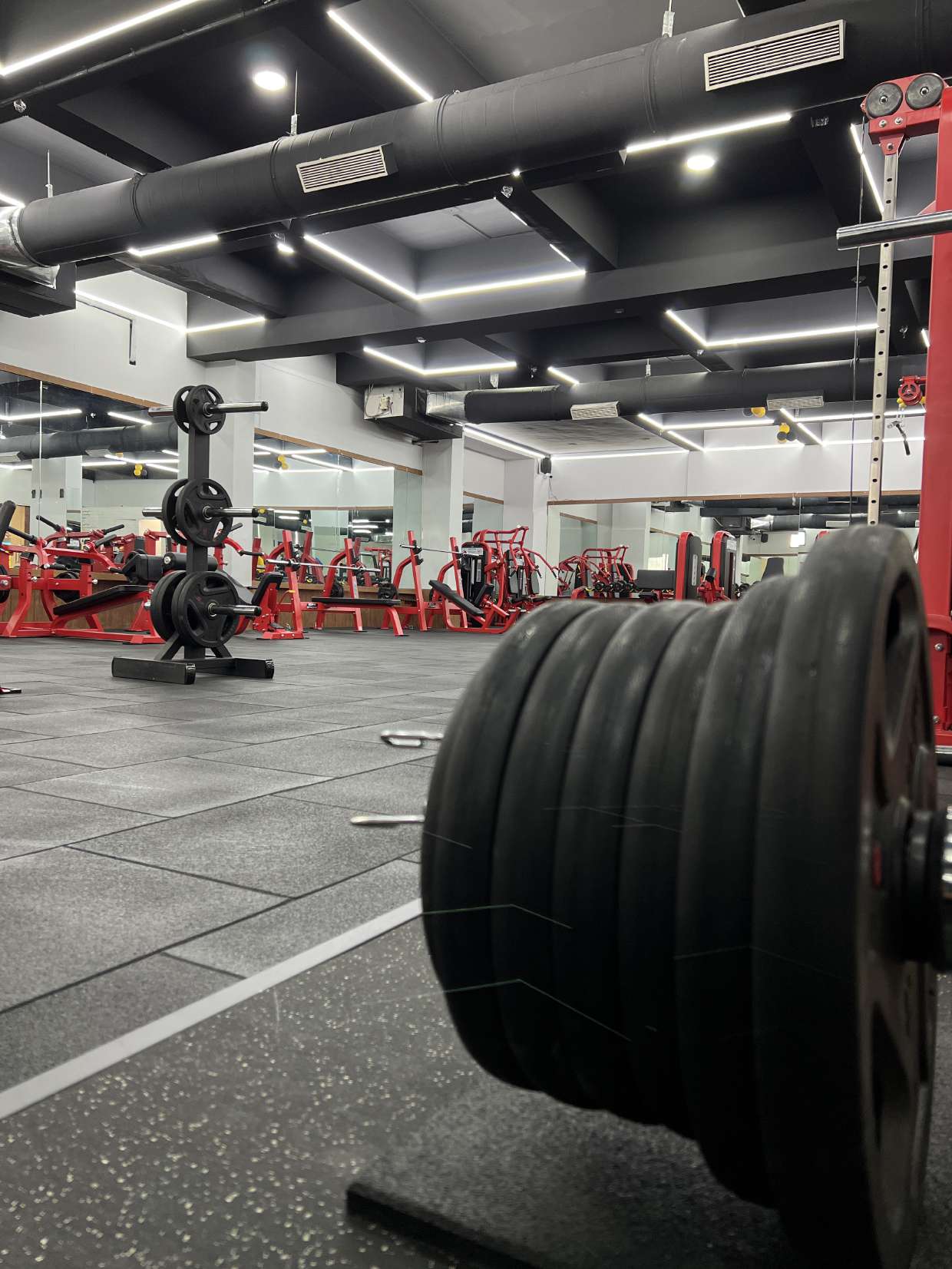 Olympic plates and red rack