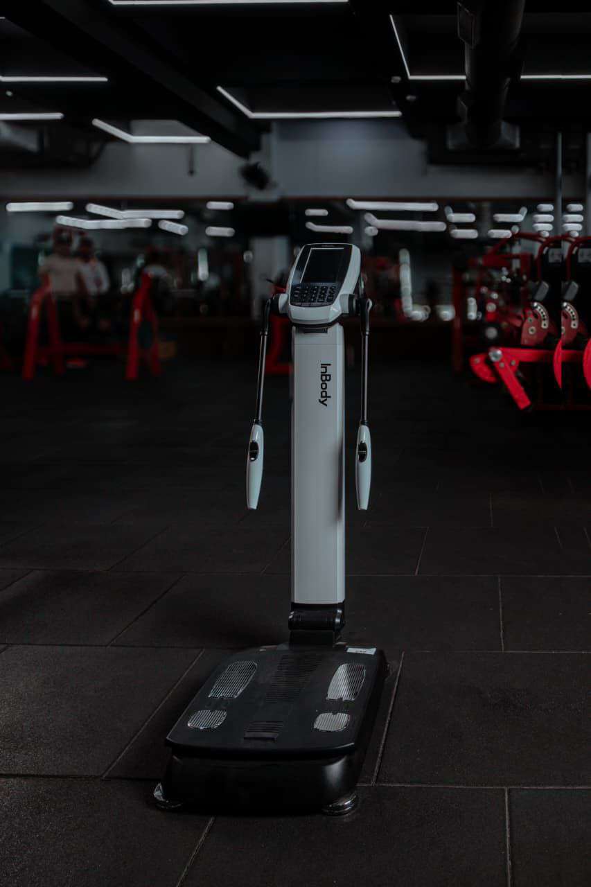 Body composition analyzer